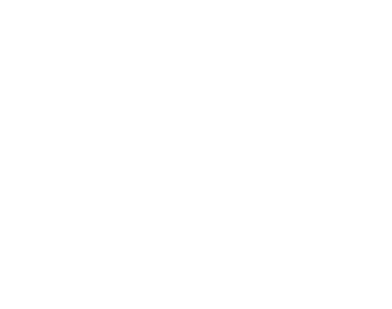 raleigh dream center